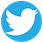 Twitter-Logo copia