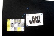   
 
Tutte le fotografie del making off, mostre ed eventi del progetto ANT WORK  Giovani Produzioni [...]