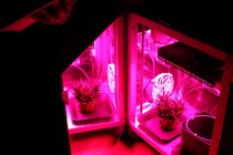 MEG – Micro Experimental Growing
sabato 18 gennaio, ore 16.00

Continuano gli incontri del sabato pomeriggio promossi da [...]